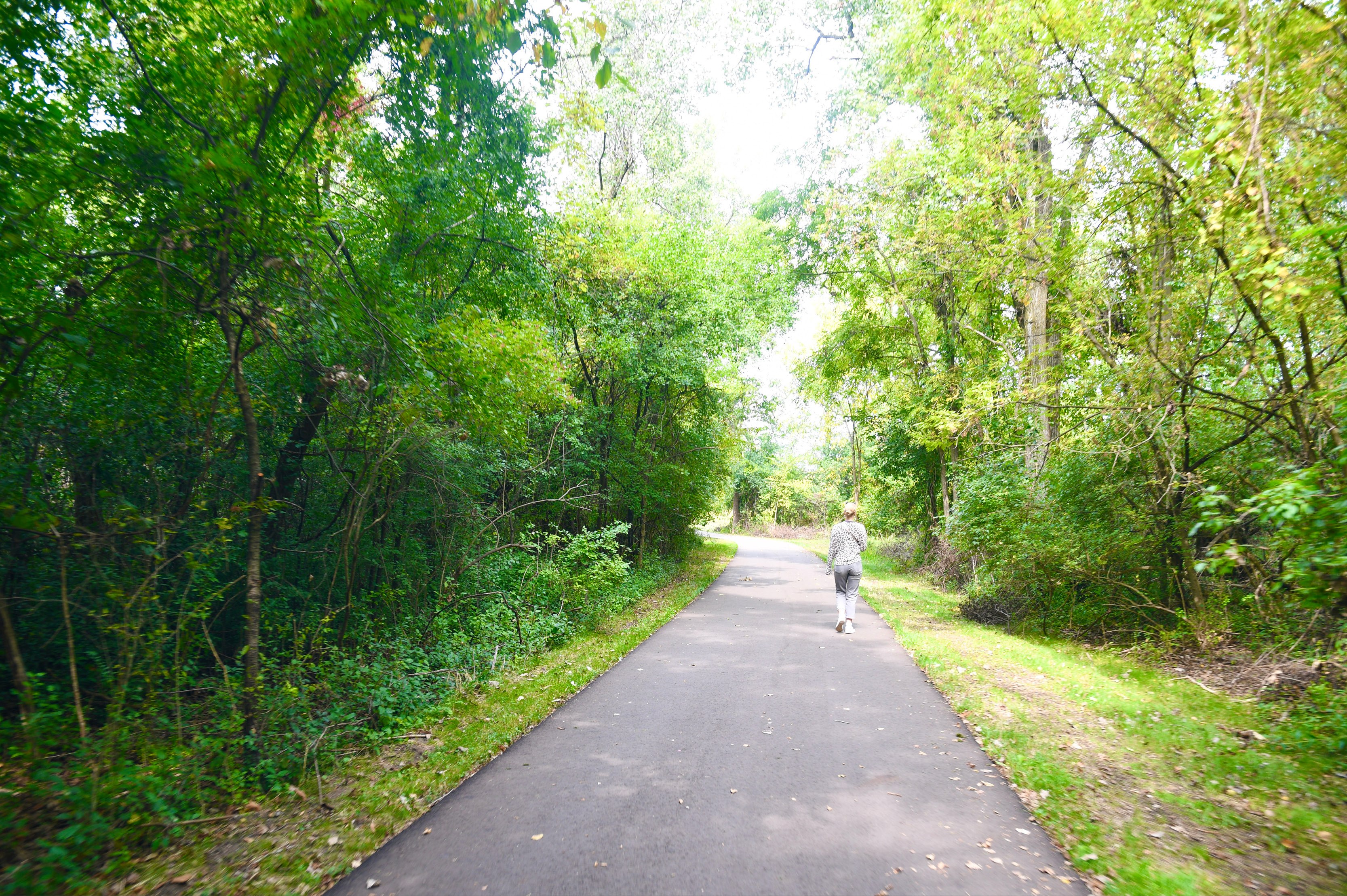 Northern Tier Trail